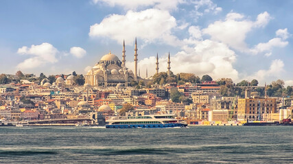 Wall Mural - Istanbul cityscape with the view on Suleymaniye Camii mosque