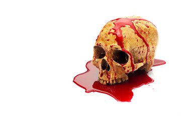 Wall Mural - Gory Halloween, Human skull in blood