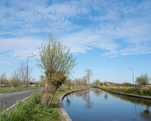 Wall Mural - Lange linschoten near Oudewater in green heart of holland