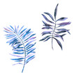 Watercolor tropical leaves in amethyst shade. Palm leaves For design, fabric decoration, waste paper, stickers.