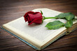 Red rose on an open book