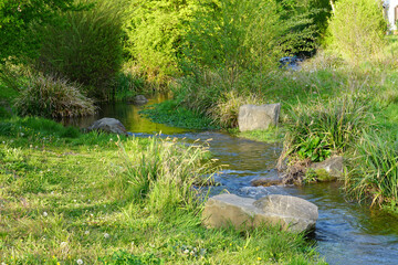 smooth flowing creek in bergisch gladbach, germany on a sunny day