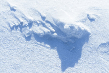 Wall Mural - shadows and textures on white snow in winter