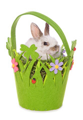 Sticker - easter bunny rabbit in a basket studio cutout