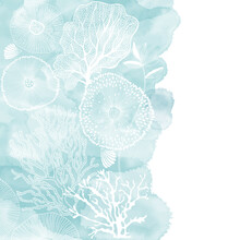 Vector Illustration With Hand-drawn Sea Plants And Blue Watercolor Fragment On A White Background. Marine Background. Illustration With Space For Text, Can Be Used Creating Card Or Invitation Card.
