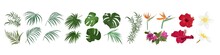 Vector Set Of Tropical Flowers And Leaves. Hibiscus, Monstera, Palm Leaves, Bougainvillea, Strelitzia, Frangipani. Flowers And Leaves On A White Background.