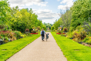 Canvas Print - July 2020. London. People relaxing in Regents park in London, England, UK