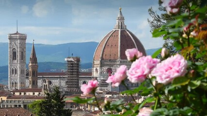 Wall Mural - Beautiful pink roses blown by the wind in the famous rose garden in Florence with the Cathedral of Santa Maria del Fiore in the background. Italy