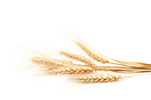 Sheaf Of Wheat Ears On White Background.