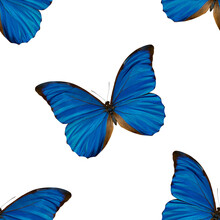 Seamless Pattern Of Blue Butterflies. Natural Background Of Beautiful Insects.