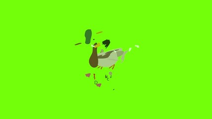 Wall Mural - Duck icon animation cartoon object on green screen background