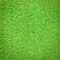 Canvas Print - artificial grass texture for background