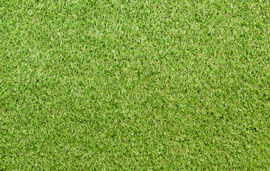 Canvas Print - artificial grass texture for background