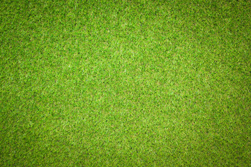 Sticker - artificial grass texture for background 