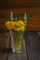 Wall Mural - A bouquet of yellow dandelions in a crystal vase on a wooden table. The beauty of wildflowers.