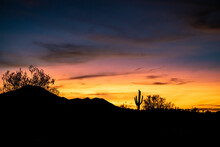 The Quintessential Picture Of The Sonoran Desert, Outside Of Phoenix, Arizona, During A Sunset In June. 