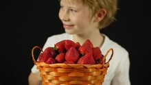 Blond boy secretly steals tasty strawberries from the basket