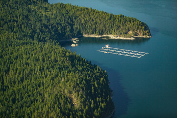 Wall Mural - Aerial View of Fish Farming British Columbia, Canada