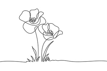 Poppy flowers in continuous line art drawing style. Doodle floral border with two flowers blooming among grass. Minimalist black linear design isolated on white background. Vector illustration