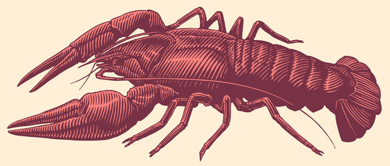 Crayfish. Hand drawn engraving. Editable vector vintage illustration. Isolated on light background. 8 EPS