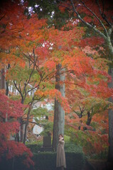 Wall Mural - 紅葉と女性