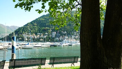 Wall Mural - Harbour of the famous city of Como,Italy, a classical vacation destination. Boats and vessels on turquoise waters. A tree in the foreground. Green hills, blue sky and white clouds on the background.