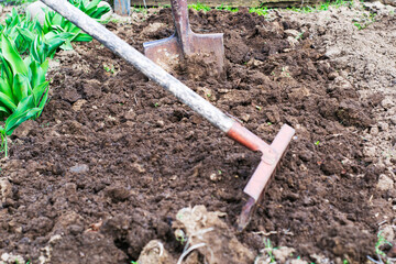 a dug up bed of earth a shovel is stuck in the ground in the foreground a rake in a blur