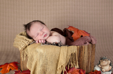 Canvas Print - Adorable newborn Caucasian baby boy sleeping on a basket