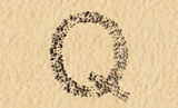 Fototapeta Przestrzenne - Concept or conceptual stones on beach sand handmade symbol shape, golden sandy background, sign of Q. 3d illustration metaphor for education, nature, summer, sunny, seaside and tropical