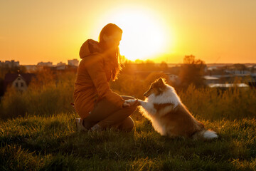 The pet and owner friendship. Girl and dog during sunset.