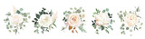 Fototapeta Kwiaty - Eucalyptus and white roses, ranunculus vector design bouquets