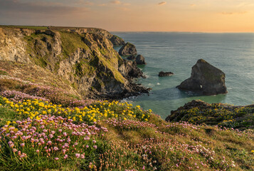 Beautiful landscape image during Spring golden hour on Cornwall coastline at Bedruthan Steps