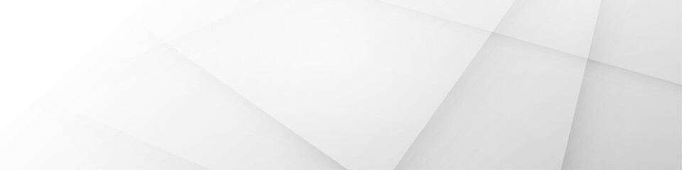 Wall Mural - white abstract horizontal banner vector background with geometric lines. modern light grey technolog