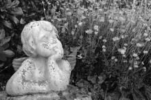 Weathered Statue Of An Infant Angel In Overgrown Garden. Black White Historic Photo.