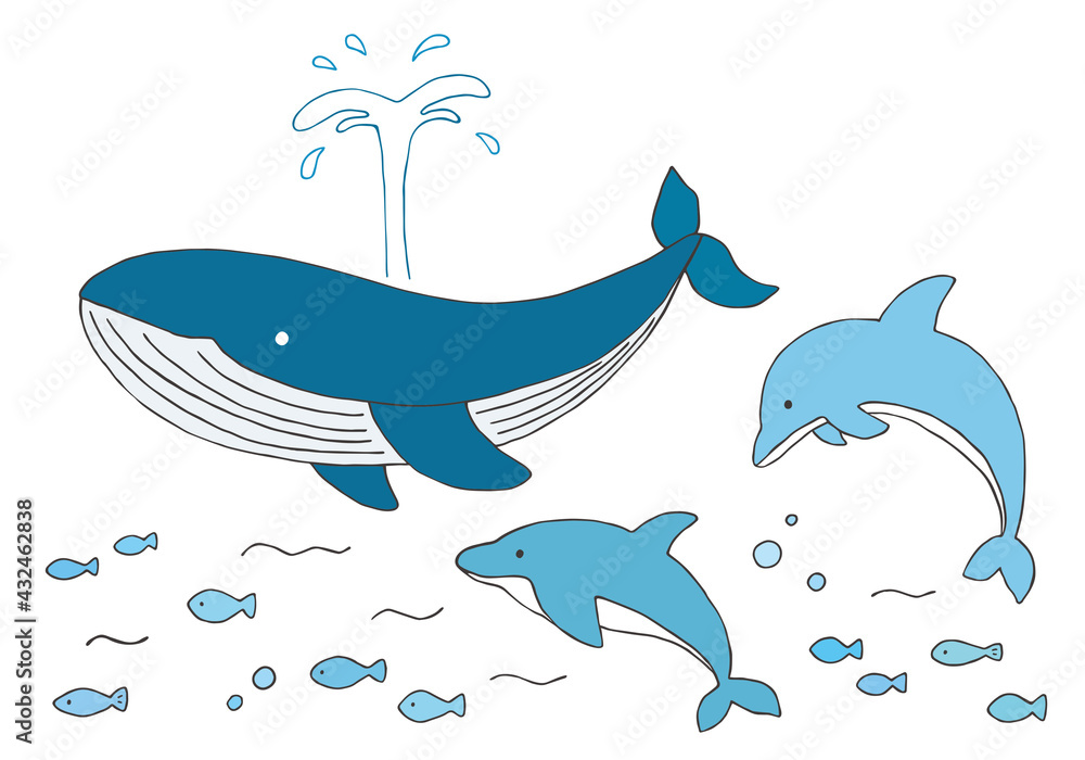 クジラとイルカの手描きイラストセット（カラー） Stock Vector