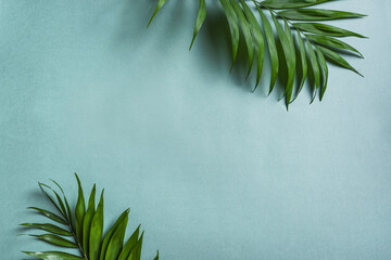 Sticker - Palm Leaves Background