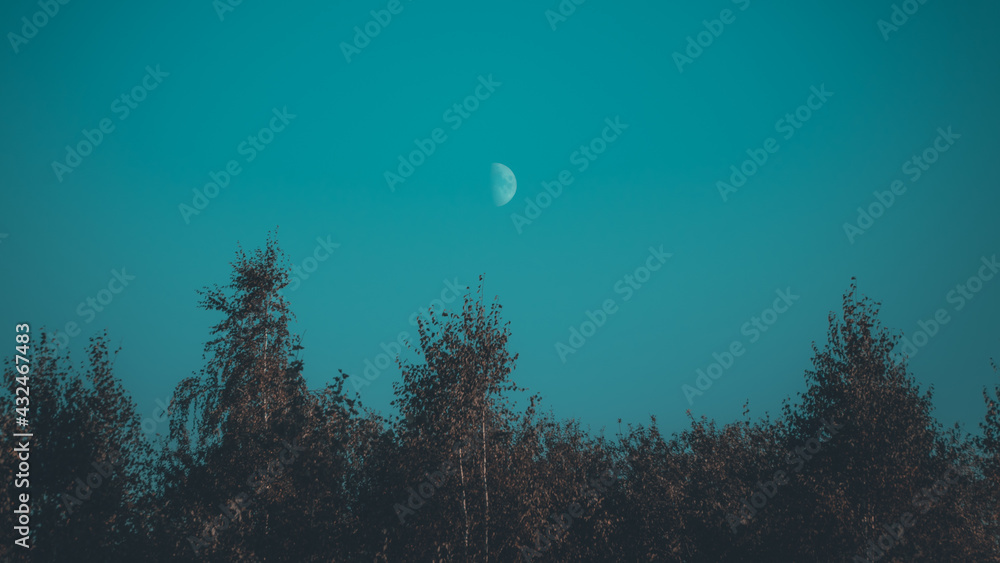 Księżyc na cyjanowym niebie  - obrazy, fototapety, plakaty 