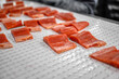 Many pieces of salmon fillet lie on a white metal conveyor