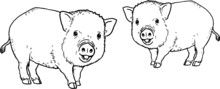 Two Cute Piglets On The Farm. Coloring Page With The Animals. Vector Illustration.