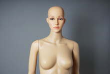 Store Window Mannequin Or Display Dummy With Bald Head And Bare Bust