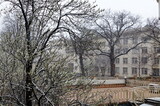 Fototapeta Paryż - A late, heavy snowfall on the fallen tree branches,  Sofia, Bulgaria 