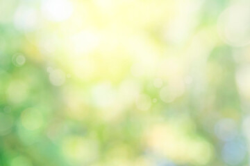 Wall Mural - nature bokeh blur abstract background with sunlight and green tree