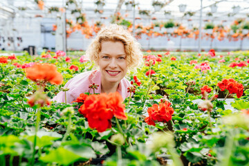 Portrait of blond curly female gardener arround red geranium flowers taking care of flowers in greenhouse.