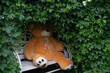 A teddy bear sits on a garden swing in the shade of jasmine bushes