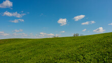 Blue Sky And Green Grass On A Hilltop On A Sunny Day, Panoramic Landscape.