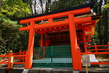 Fototapeta Natura - Sanju Hasyo (thirty-eight) shrine at Kasugataisha Shrine in Nara prefecture, Japan - 日本 奈良 春日大社 三十八所神社

