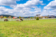 Ranch Homes, Barns And Shops Near A Pasture With Horses In The Rural Community Of Newman Lake, Washington, USA, A Suburb Of Spokane.