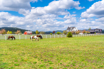 Ranch homes, barns and shops near a pasture with horses in the rural community of Newman Lake, Washington, USA, a suburb of Spokane.