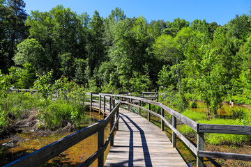 a shot of a brown wooden bridge over the water in a marsh surrounded by lush green trees and plants over silky brown water at Newman Wetlands Center in Hampton Georgia