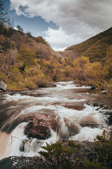 Canvas Print - Vertical shot of a flowing river through the greenery-covered forest